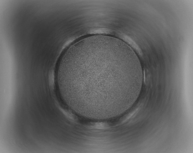 X0000112380204200908131535