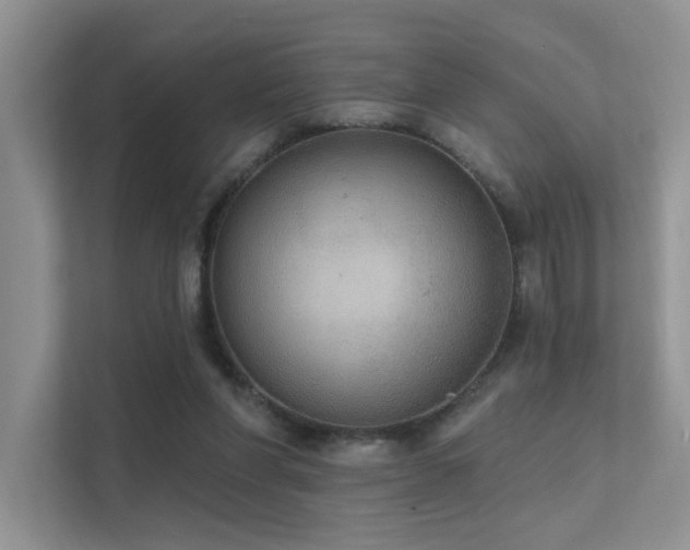 X0000112380206200908131535