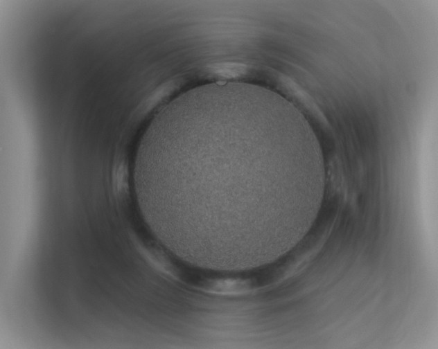 X0000112380212200908131535