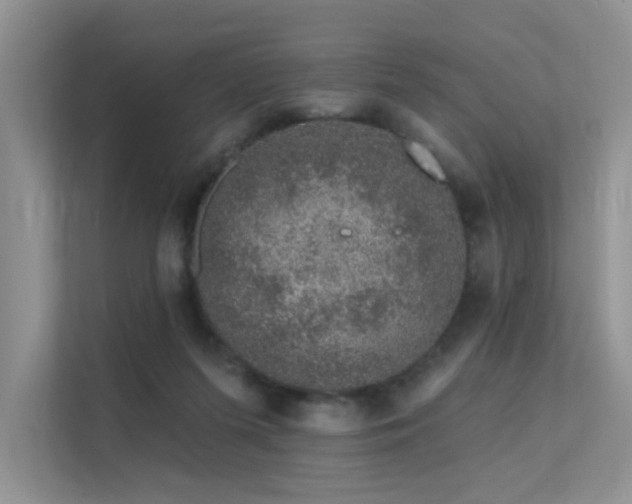 X0000112380215200908131535