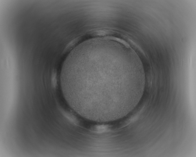 X0000112380216200908131535