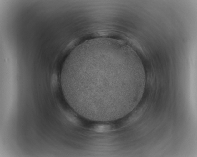 X0000112380220200908131535