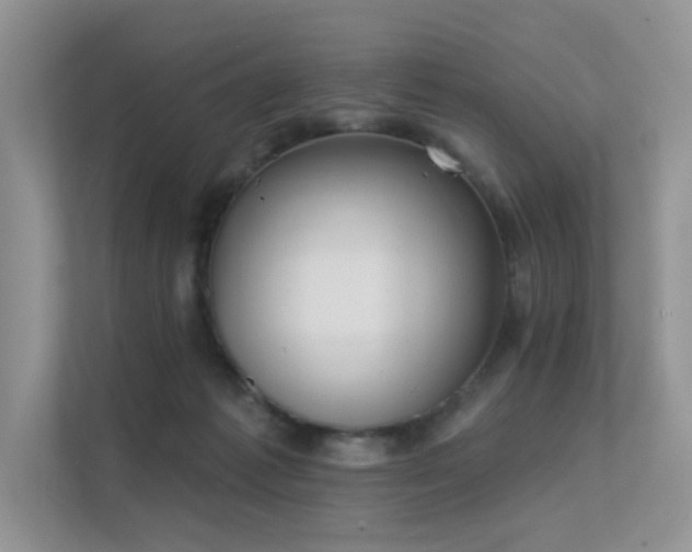 X0000112380221200908131535