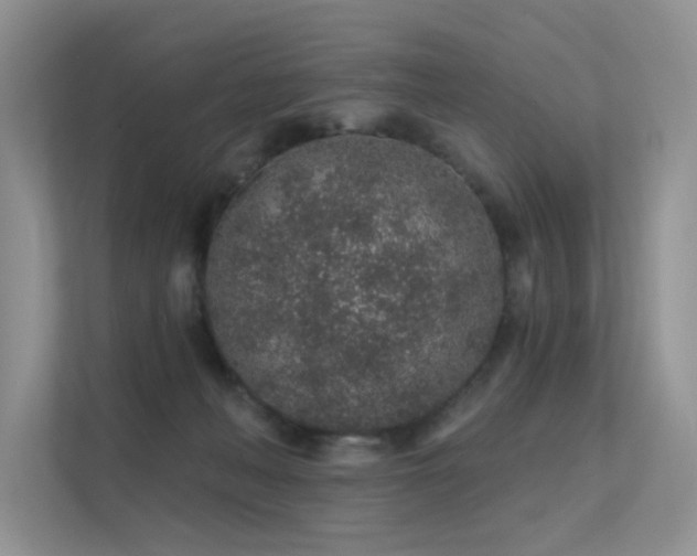 X0000112380222200908131535