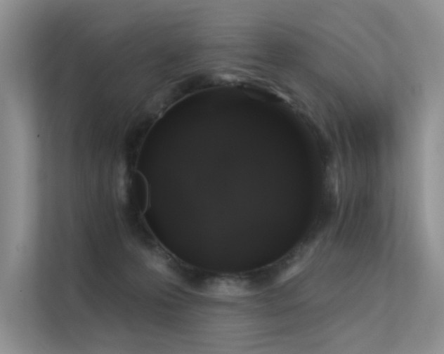 X0000112380223200908131535