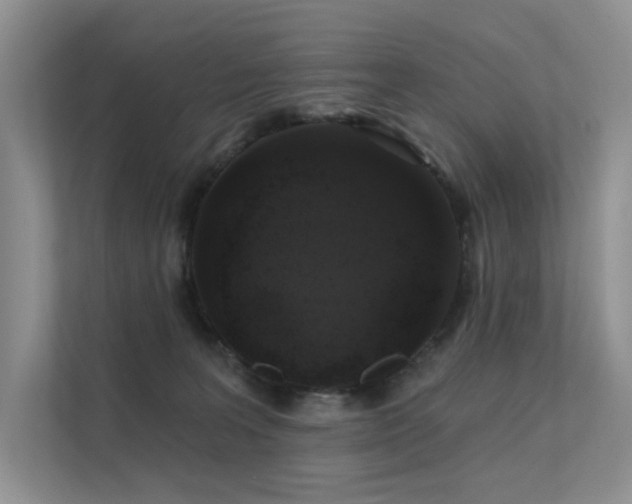 X0000112380227200908131535