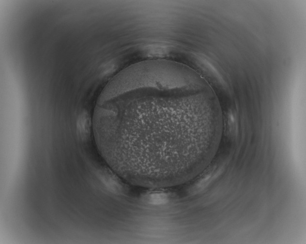 X0000112380228200908131535