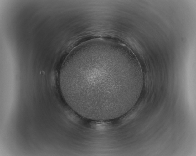 X0000112380229200908131535