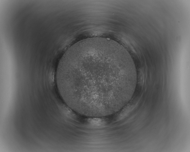 X0000112380230200908131535