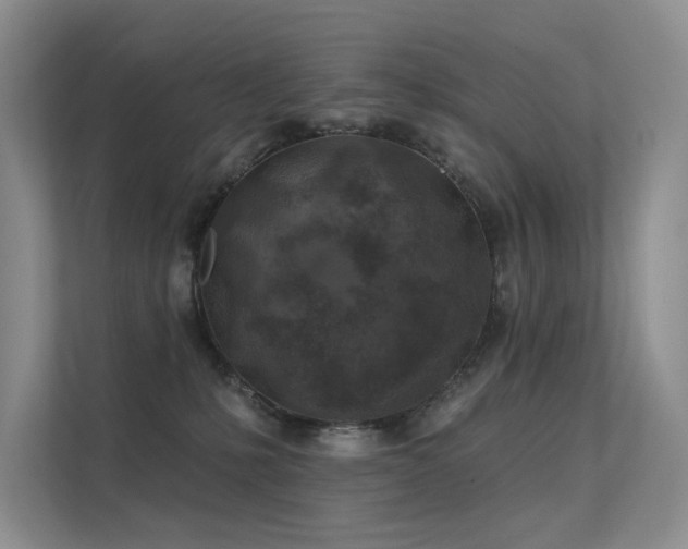 X0000112380231200908131535