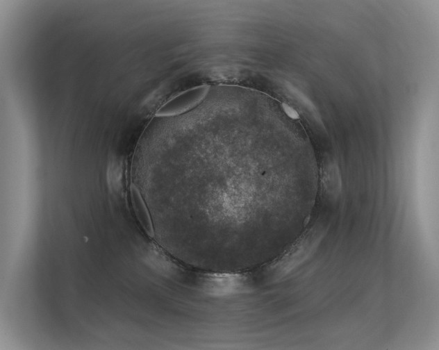 X0000112380233200908131535