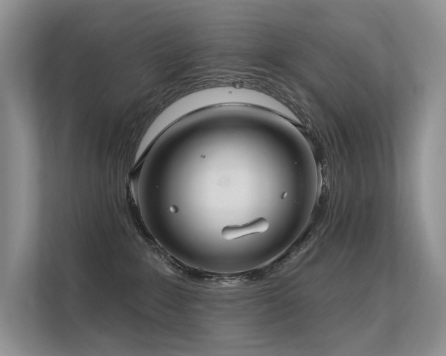 X0000112380235200908131535