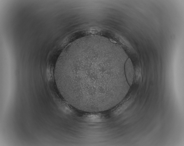 X0000112380236200908131535