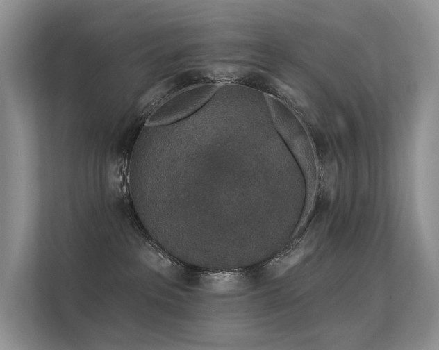 X0000112380237200908131535