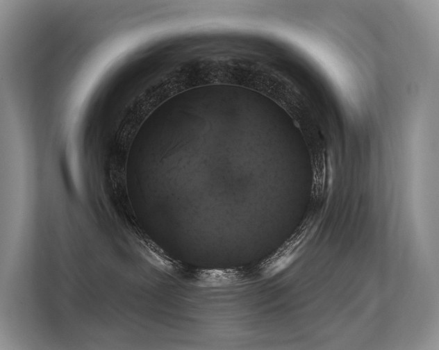 X0000112380239200908131535