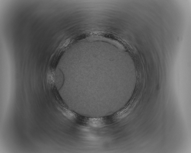 X0000112380240200908131535