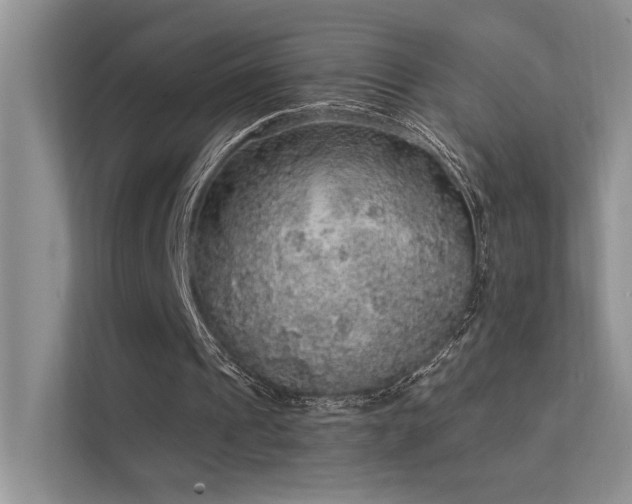 X0000112380241200908131534