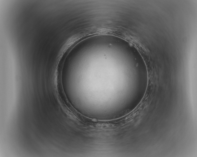 X0000112380242200908131534