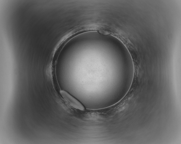 X0000112380244200908131534