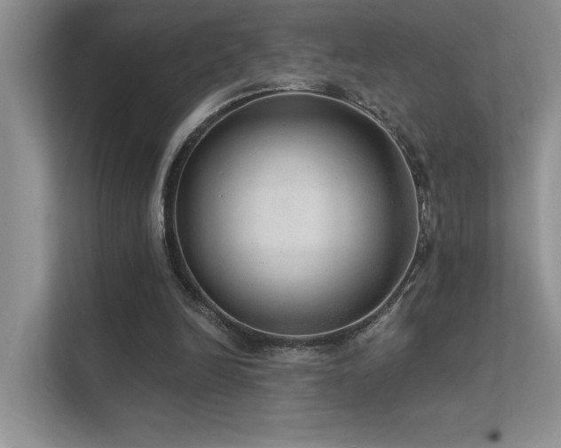 X0000112380246200908131534