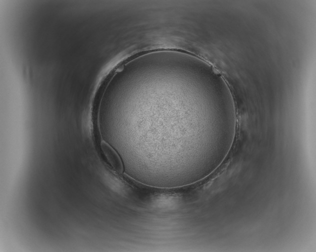 X0000112380248200908131534