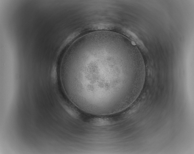 X0000112380250200908131534