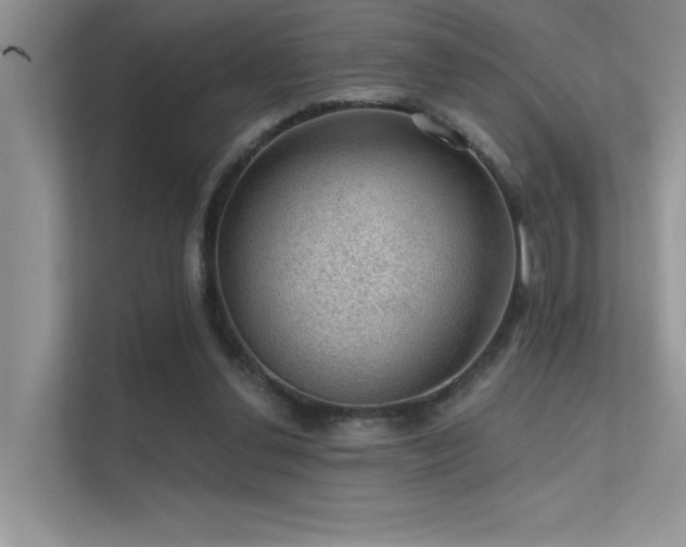 X0000112380252200908131535