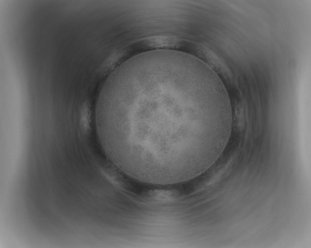 X0000112380255200908131535