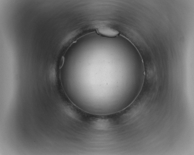 X0000112380256200908131535