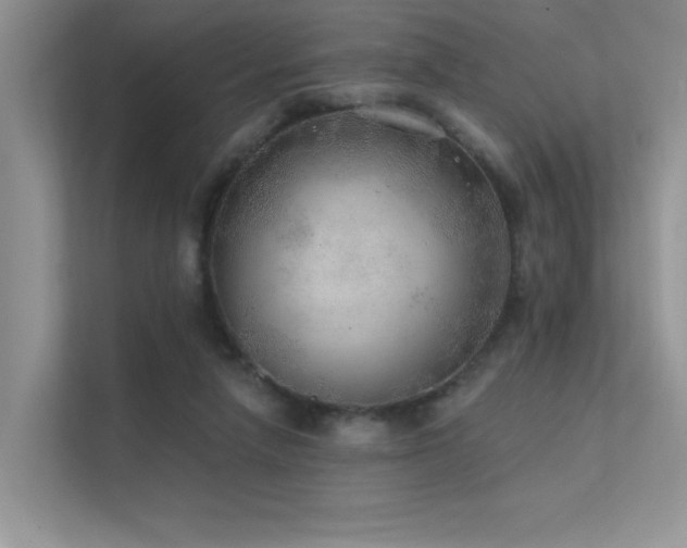 X0000112380258200908131535