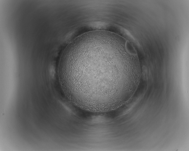 X0000112380259200908131535