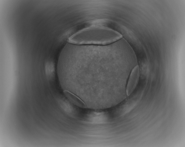 X0000112380260200908131535