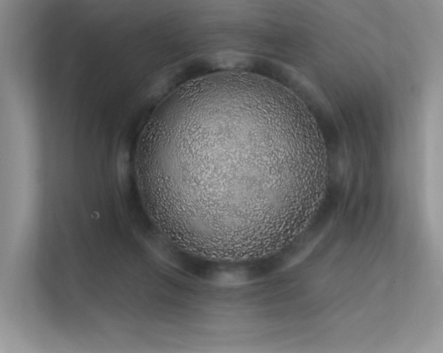 X0000112380263200908131535