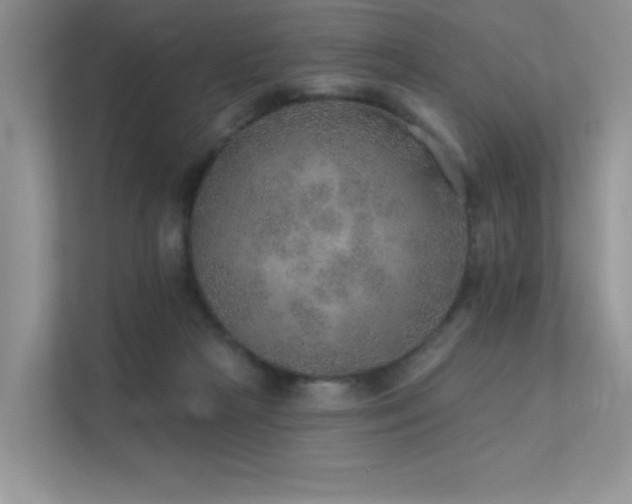 X0000112380265200908131535