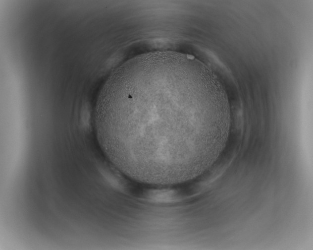 X0000112380266200908131535