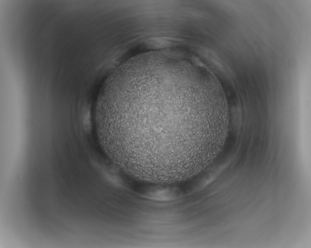 X0000112380267200908131535