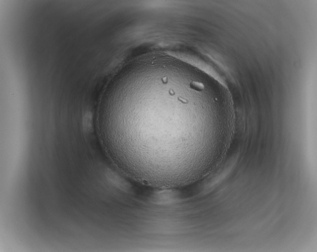 X0000112380269200908131535