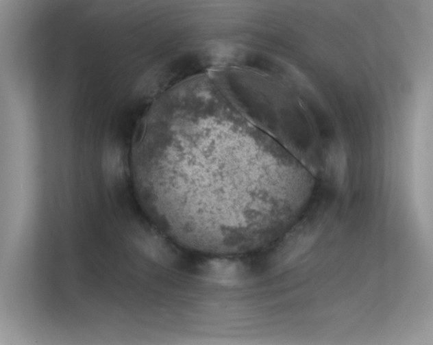 X0000112380272200908131535