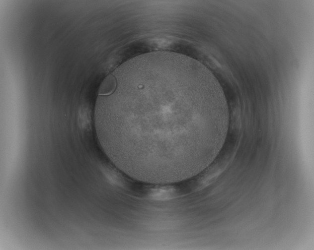 X0000112380274200908131535