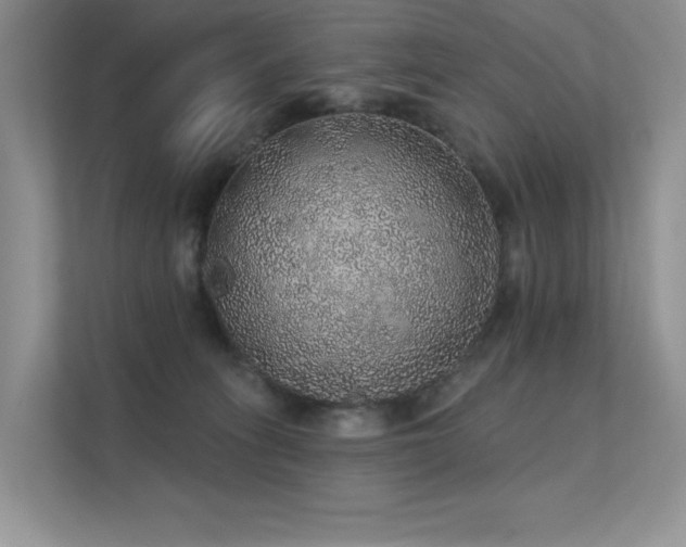 X0000112380275200908131535