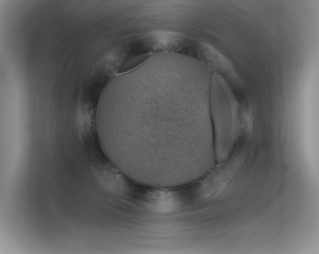 X0000112380276200908131535