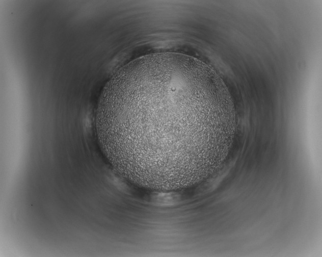 X0000112380277200908131535