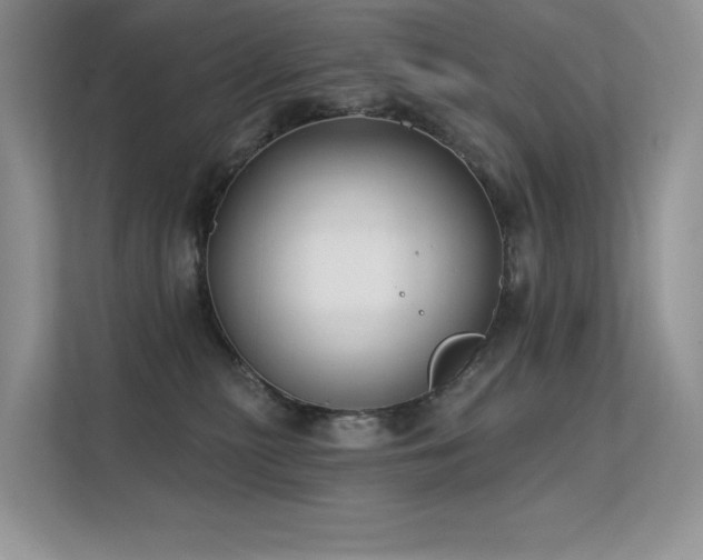 X0000112380279200908131535