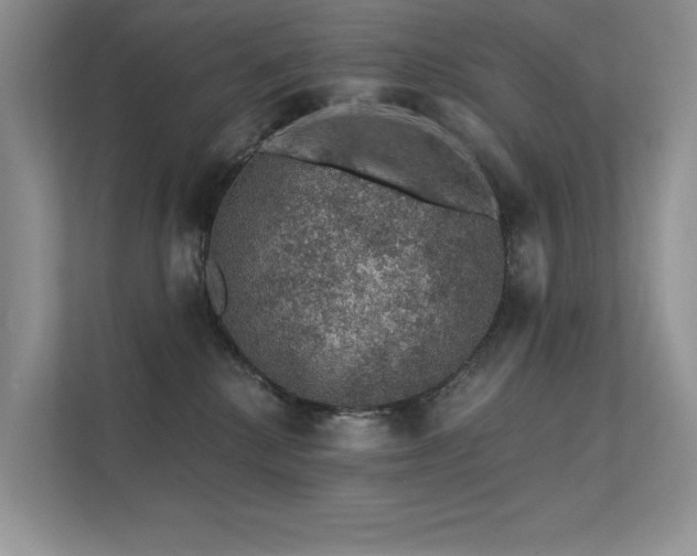 X0000112380280200908131535