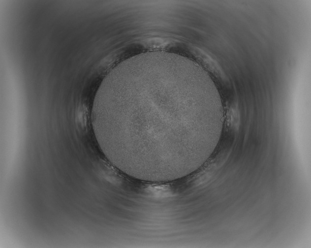 X0000112380283200908131535