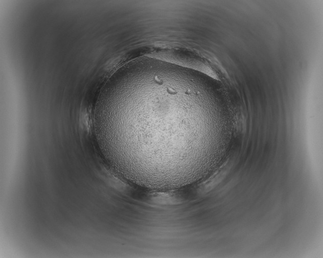 X0000112380285200908131535