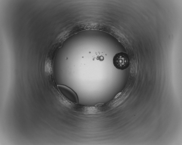 X0000112380287200908131535