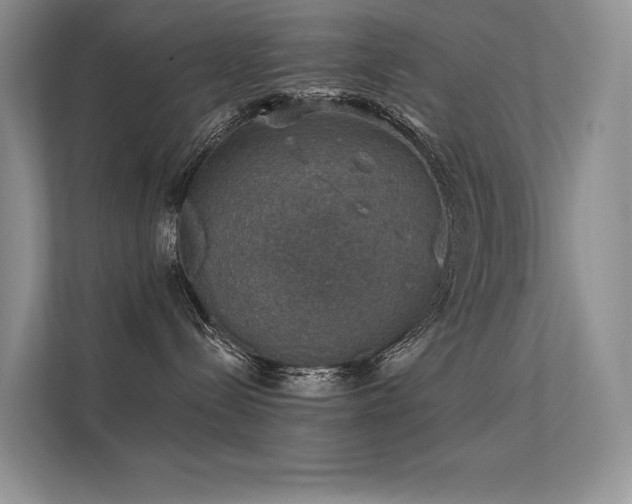 X0000112380288200908131535