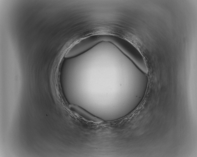 X0000112380289200908131534