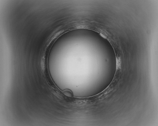 X0000112380291200908131534